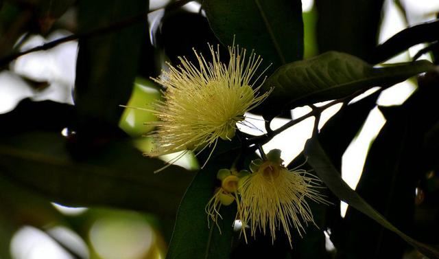 还阴债聚财说什么？揭秘还阴债真相