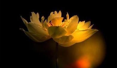 住宅风水包含哪些内容如何选好住宅风水