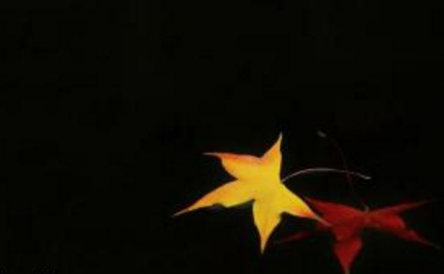 道家超度孤魂的方法