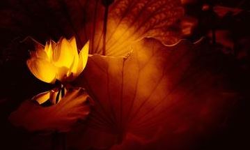 简单又准确的择日法，教你快速选出好日子