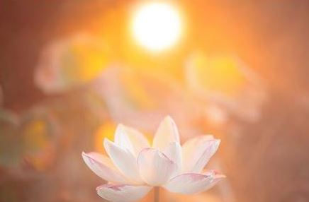 超度亡灵经文歌曲让亡灵得到解脱