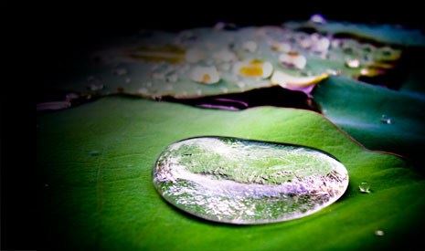 超度母亲亡灵多少钱好