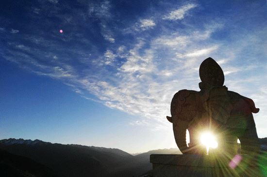 念无量寿经怎样回向堕胎婴灵