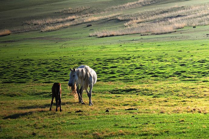 感情挽回成功经历分享：丈夫爱上女秘书，我用