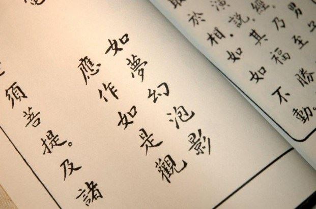 凡事有因果，万物都逃不过因果