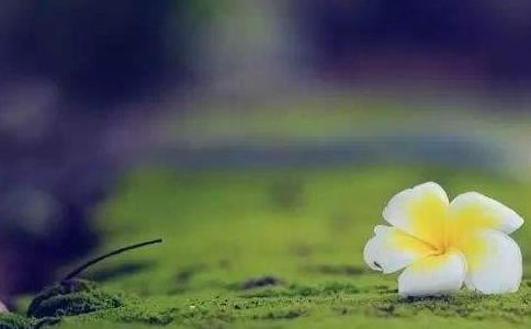 现代住宅讲究风水吗,看看你就知道了