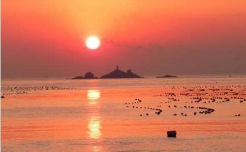 异性缘好的生肖，这几个生肖很容易脱单