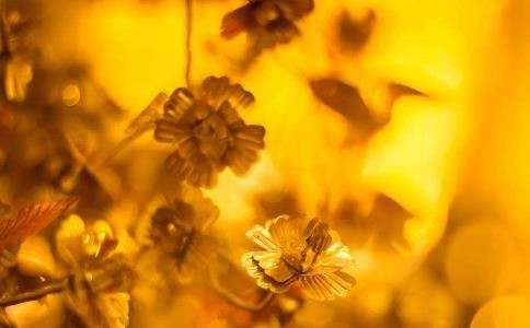 还婴灵债大概用多少钱,往生咒全文