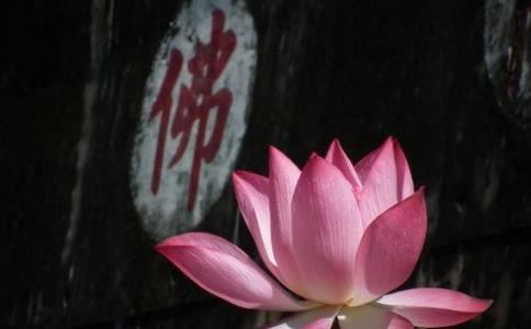 抑郁症就是魂丢了的童子 多吃这几类食物可以缓