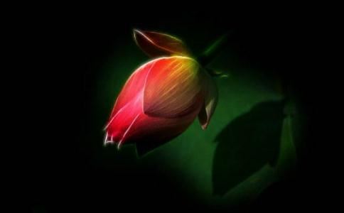 采访道长，讲述和合术的奥秘