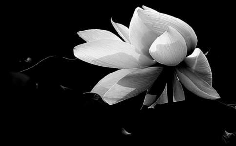 三招告诉你女友和我提分手怎么挽回