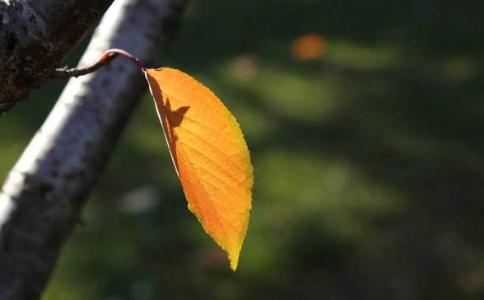 婴灵会托梦吗 看了这篇文章 你就会有答案