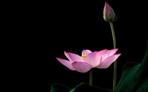 风生水周易告诉你堕胎后婴灵究竟去了哪里