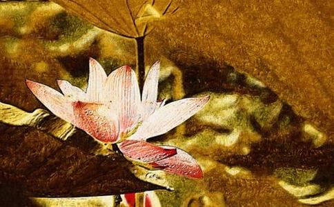 阴债免除骗局揭秘:还清阴债后还需付费？！