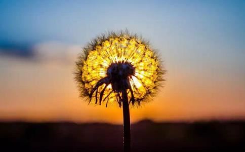 如何让普通人对亡灵进行超度,提高超度成功率