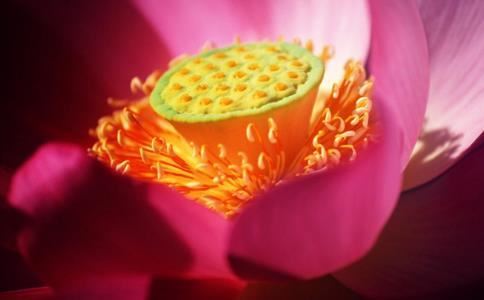 怎么训练自己的说话能力 这三个技巧让你越来越会说话