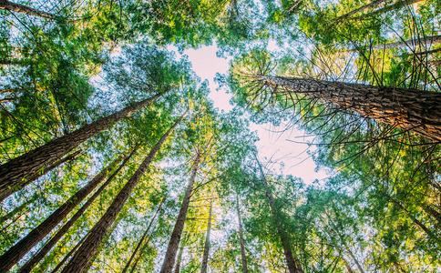 婆媳吵架的主要原因，明白这3点就好解决了