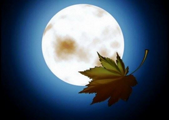 藏传佛教的知识你知道多少 佛教知识大全