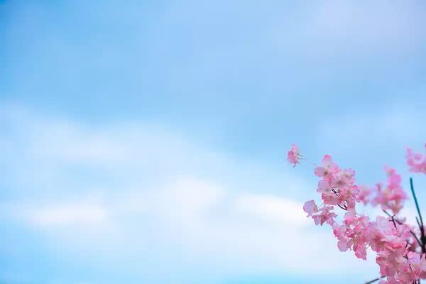 堕胎造罪，《太上三生解冤妙经》普度无辜婴灵