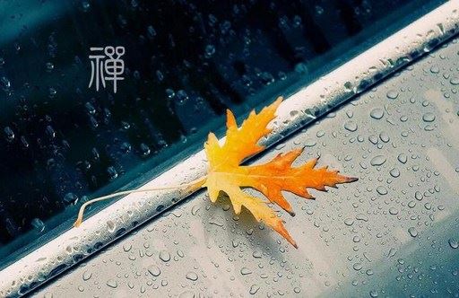 机缘还在做挽回术会成功吗 顺利找回爱情并不困难