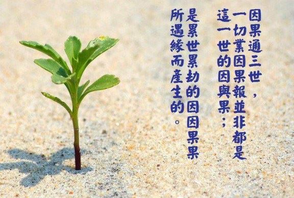 超度是什么意思?为什么要超度