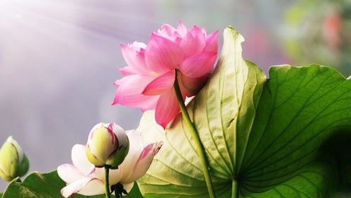 久病不愈会抑郁，这些都是需要注意的事项