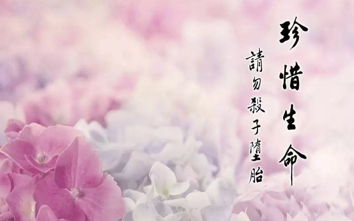 烂桃花如何破解 用这5种方法就对了