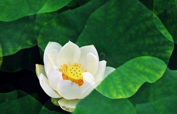 夫妻吵架老公和我分居要怎么挽回成功率更高,第三个很有用