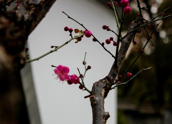 不同出马仙 哪些规矩遵守是心灵导师